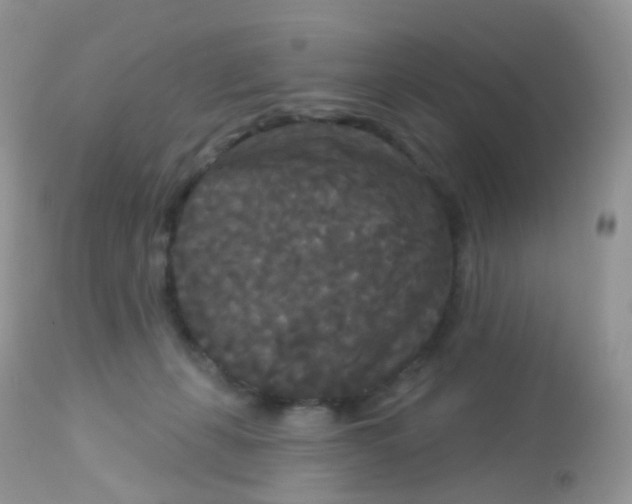X0000113080271200909182056