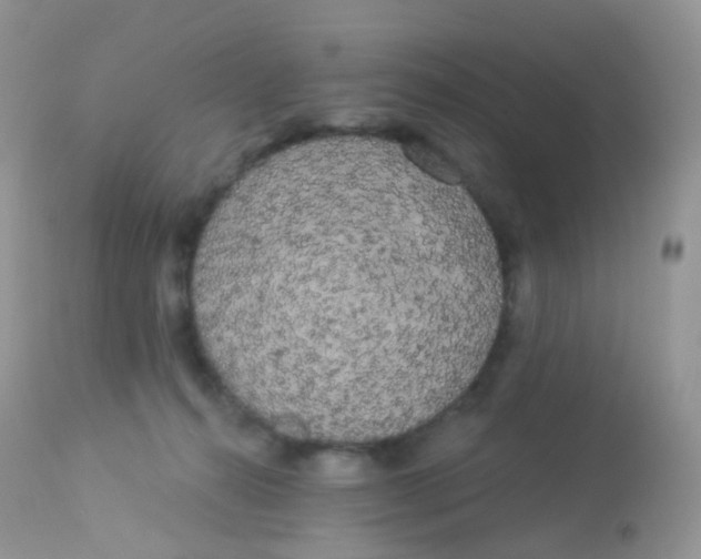 X0000113080272200909182056