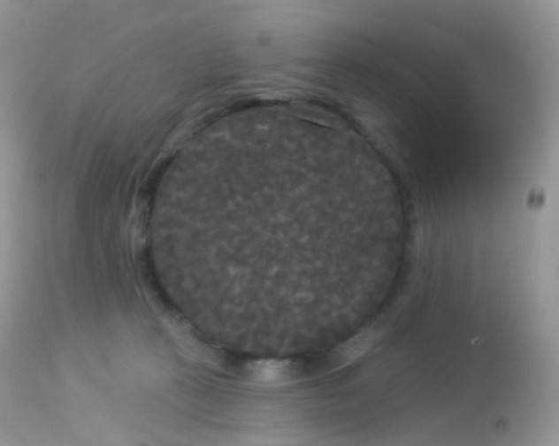 X0000113080273200909182056