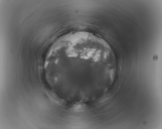 X0000113080274200909182056