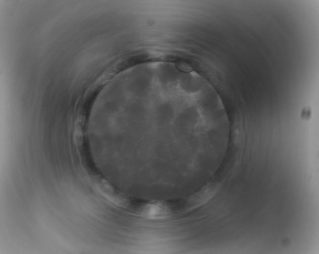 X0000113080275200909182056
