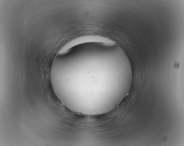 X0000113080276200909182056