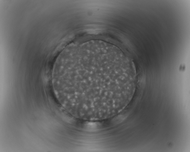 X0000113080277200909182056