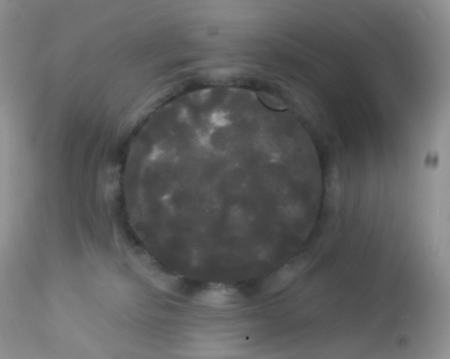 X0000113080278200909182056