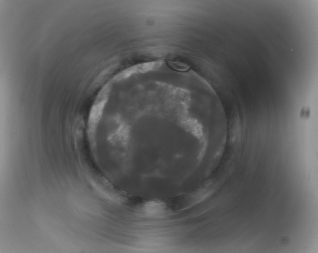 X0000113080279200909182056