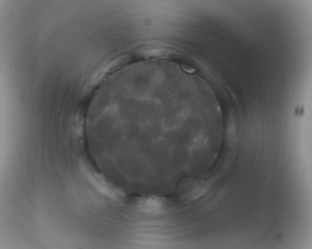 X0000113080282200909182056