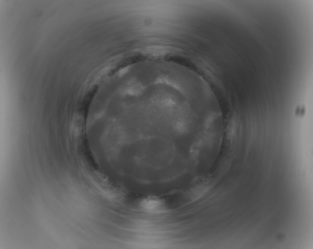 X0000113080283200909182056