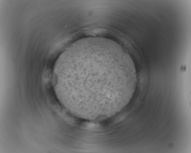 X0000113080284200909182057