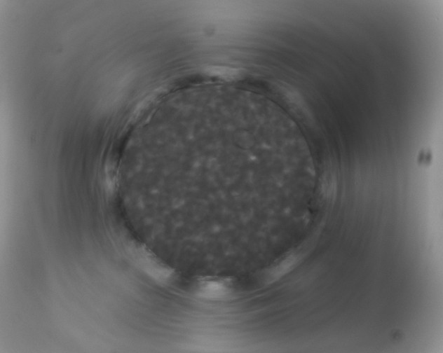 X0000113080285200909182057