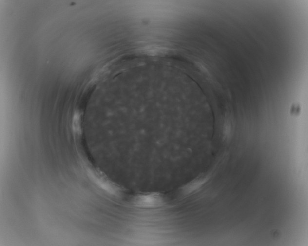 X0000113080286200909182057