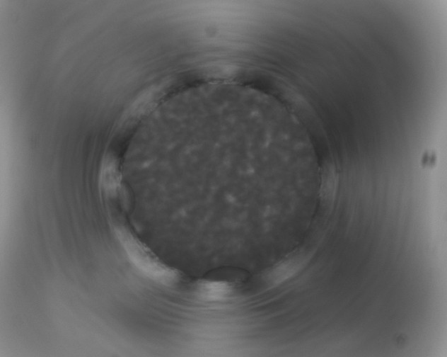 X0000113080287200909182057