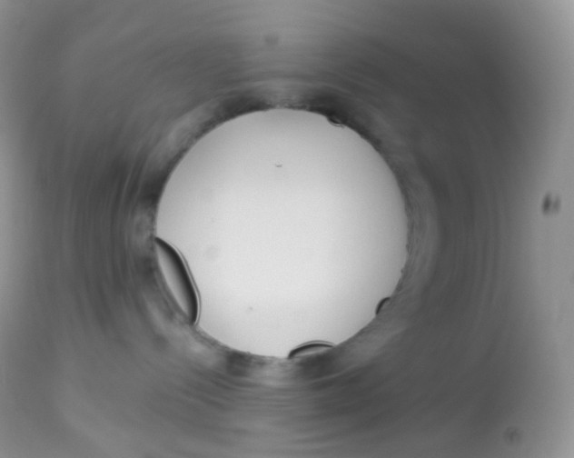 X0000113080288200909182057