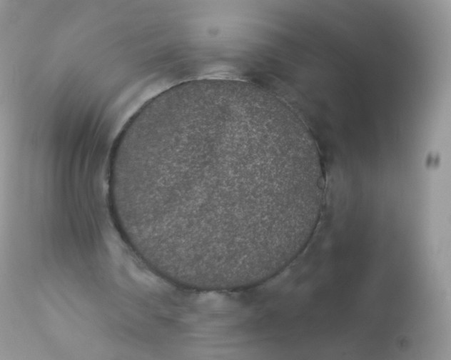 X0000113080290200909182056