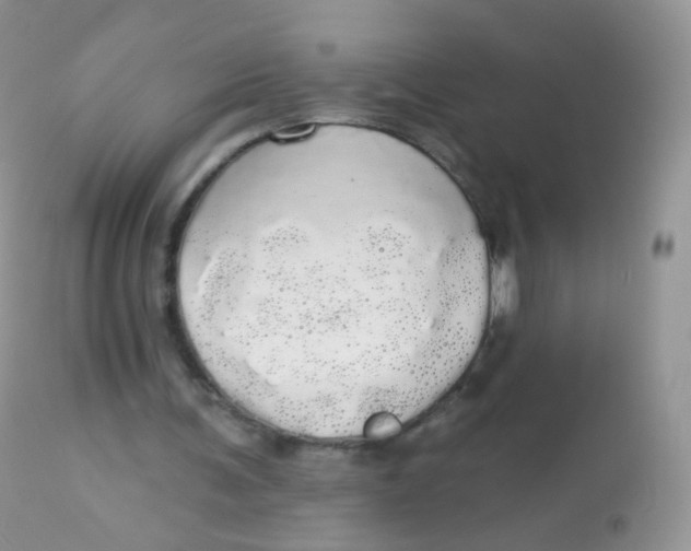X0000113080291200909182056