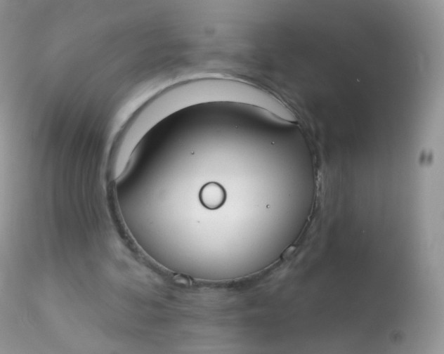 X0000113080292200909182056