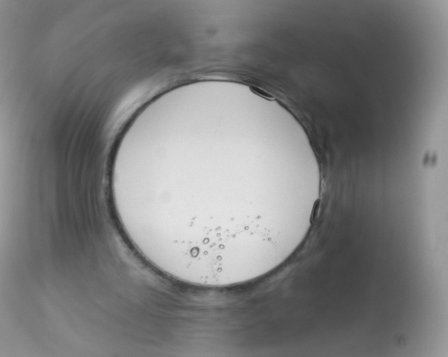 X0000113080293200909182056