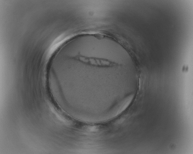 X0000113080295200909182056