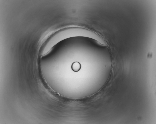 X0000113080296200909182056