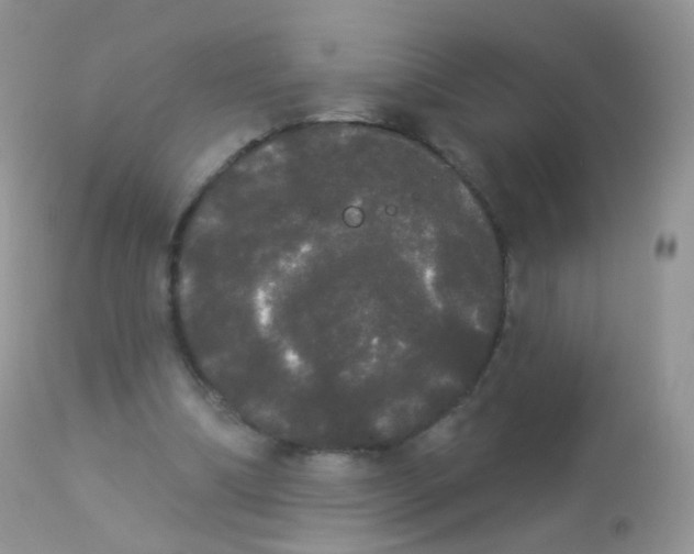X0000113080298200909182056