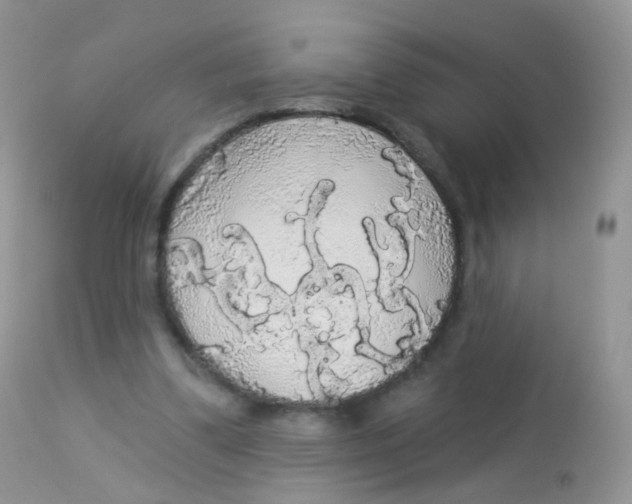 X0000113080299200909182056