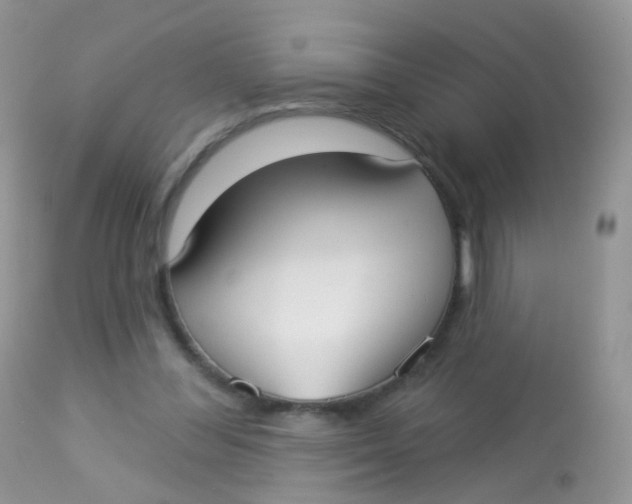 X0000113080300200909182056