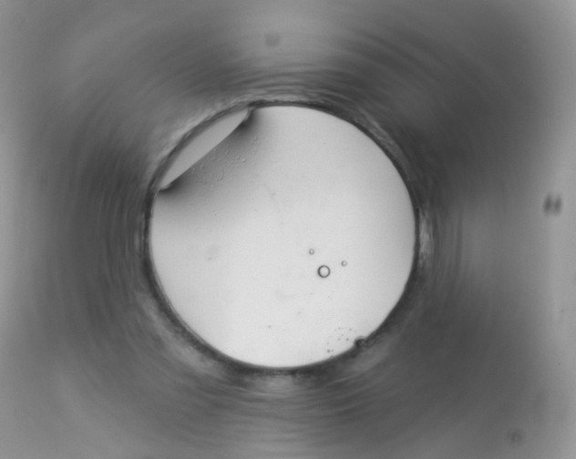 X0000113080301200909182056