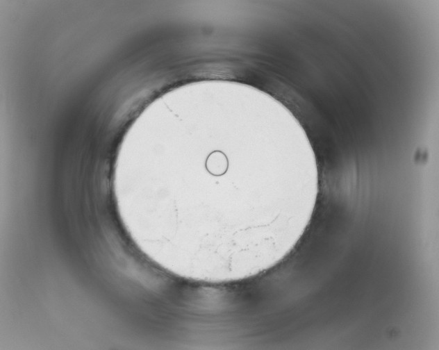 X0000113080302200909182056