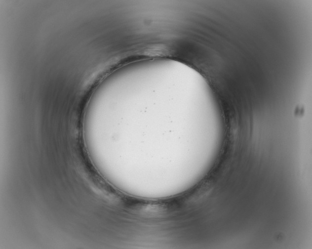 X0000113080303200909182056