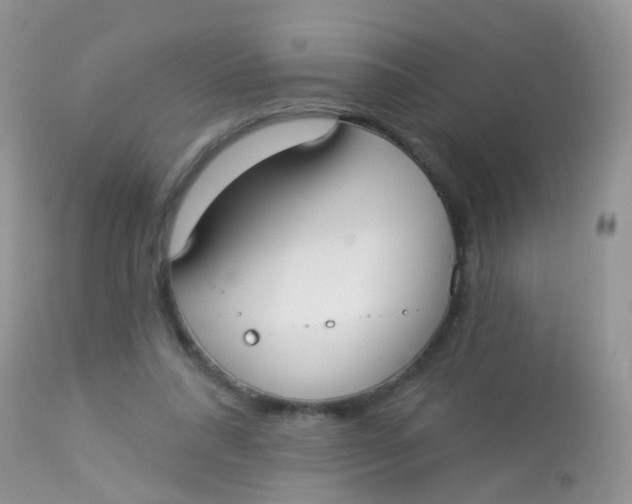 X0000113080304200909182056
