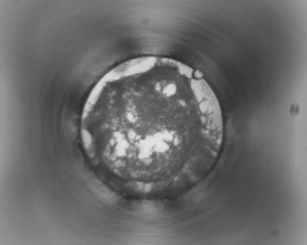 X0000113080305200909182056