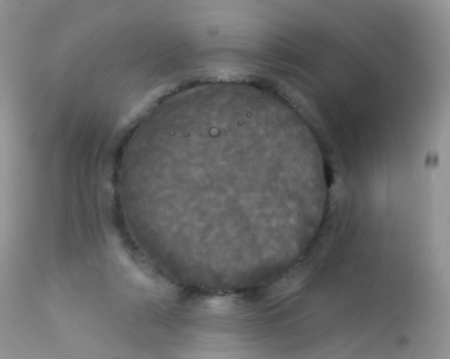 X0000113080306200909182056
