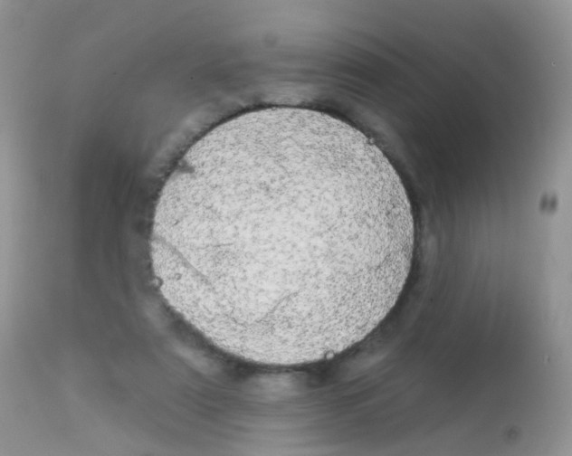 X0000113080307200909182055