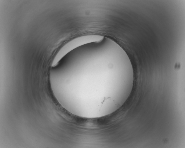 X0000113080308200909182055