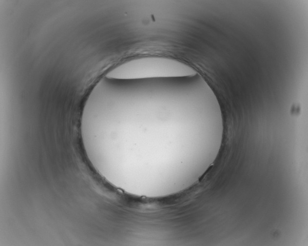 X0000113080309200909182055