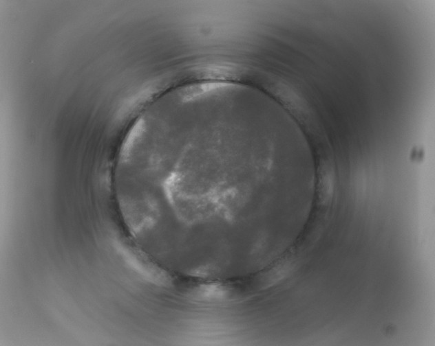 X0000113080310200909182055