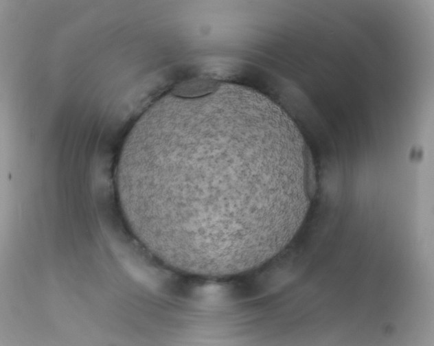 X0000113080312200909182055