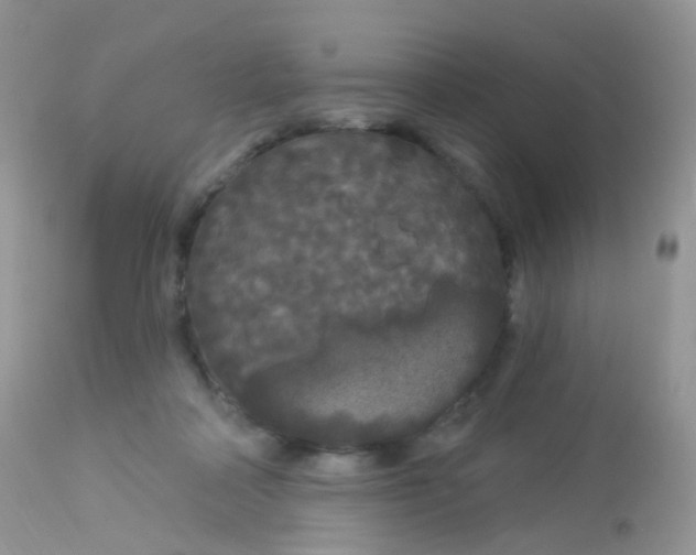 X0000113080314200909182055
