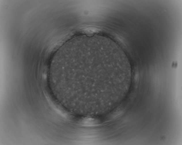 X0000113080315200909182055