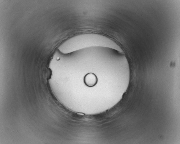 X0000113080317200909182055