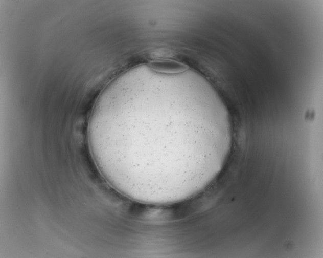 X0000113080319200909182055
