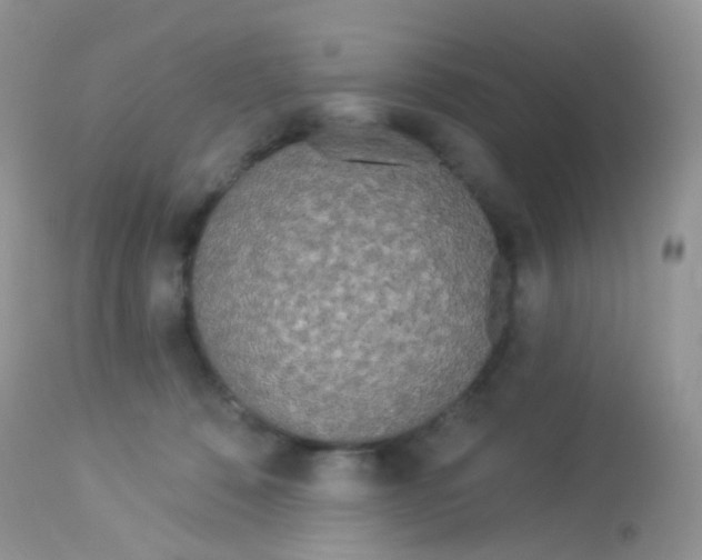 X0000113080320200909182055