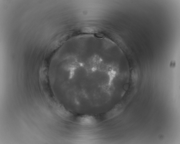 X0000113080322200909182055