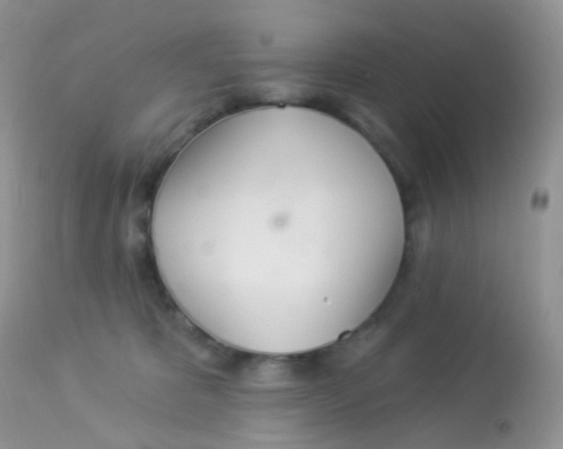 X0000113080325200909182055