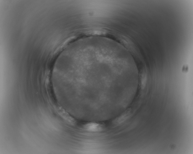 X0000113080326200909182055