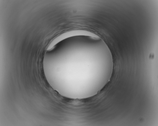 X0000113080327200909182055
