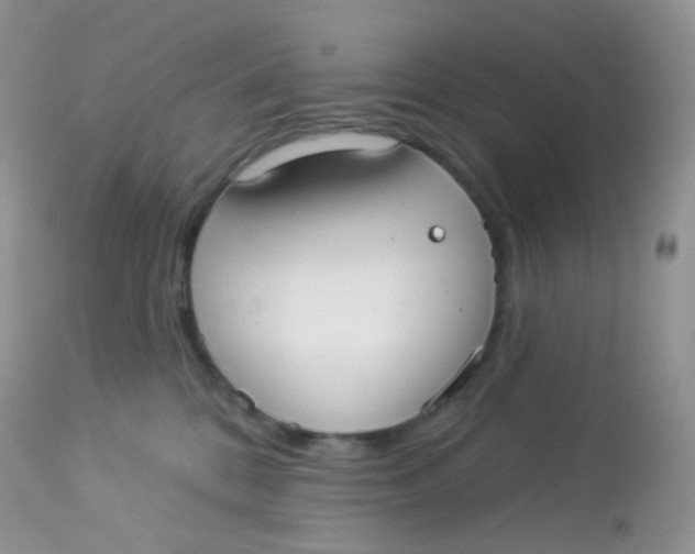 X0000113080328200909182055