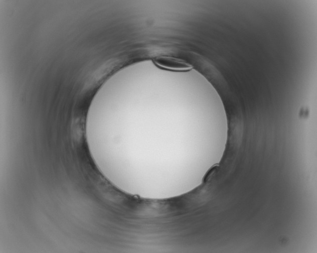 X0000113080329200909182055
