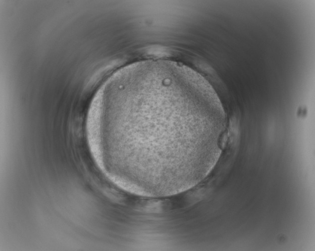 X0000113080330200909182055