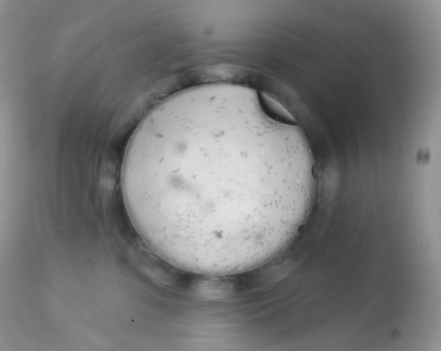 X0000113080331200909182055