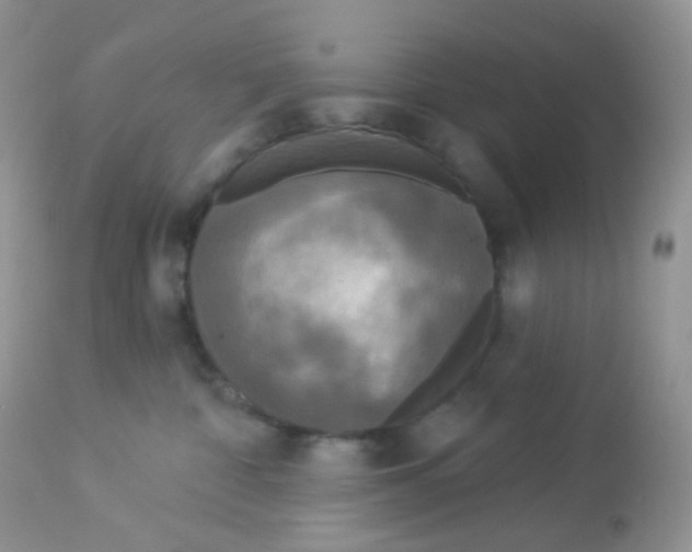 X0000113080332200909182055